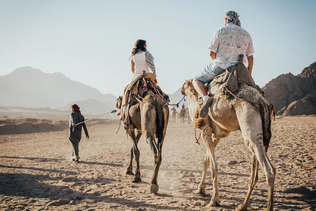 Day trip to Agafay Desert from Marrakech