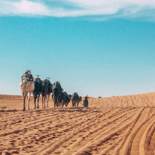 merzouga