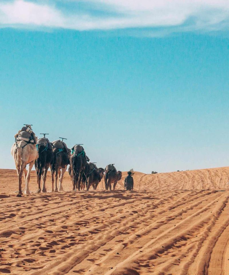 merzouga