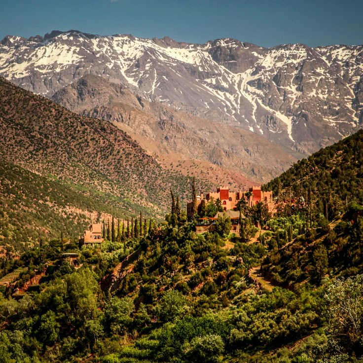 Day Trip to the Atlas Mountains from Marrakech
