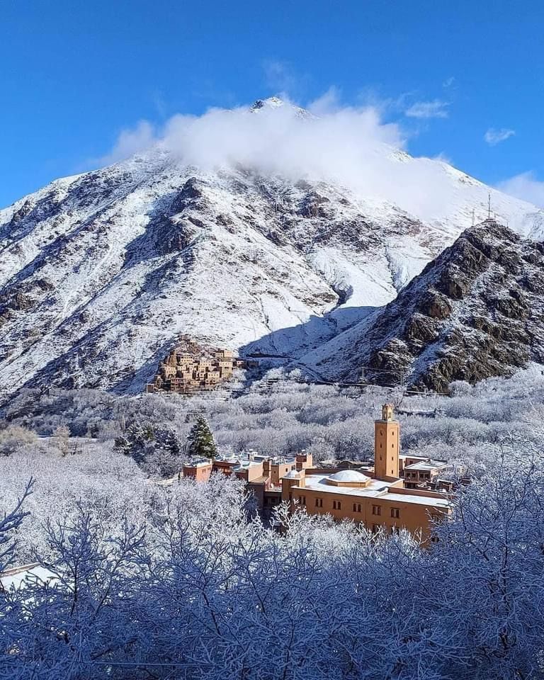 Day Trip to the Atlas Mountains from Marrakech