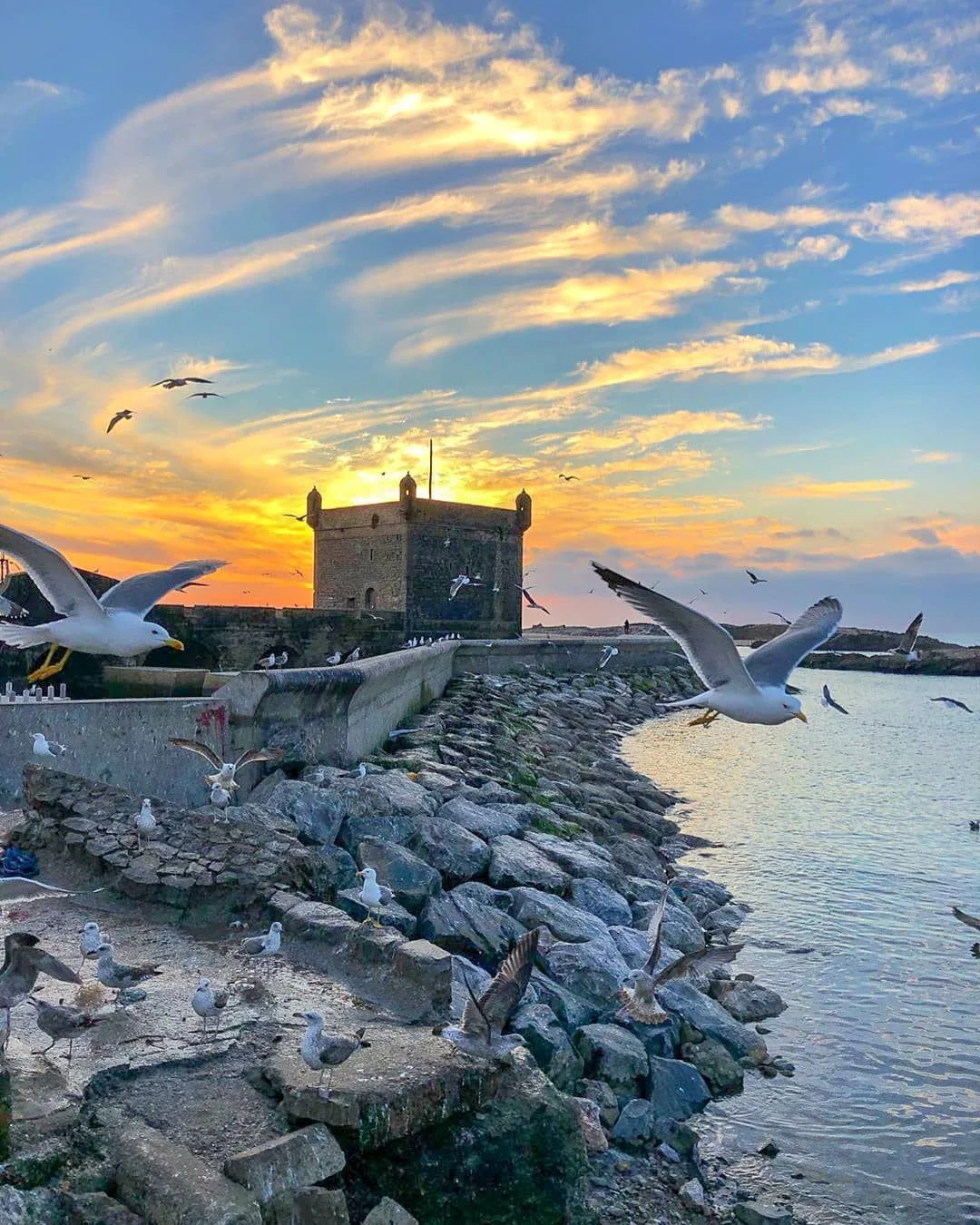 day trip to Essaouira from Marrakech